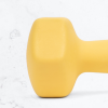 Myga Dumbbell - 4KG