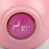 Kettle Bell Pink 2kg