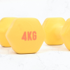 Myga Dumbbell - 4KG