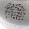Anti-Burst Fitness Ball with Pump
