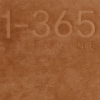 365 Days Journal