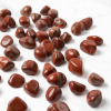 Tumbled & Polished Gemstones – 50-Piece - Amethyst