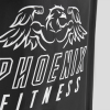 Phoenix Fitness Ice Baths 300 Litre 